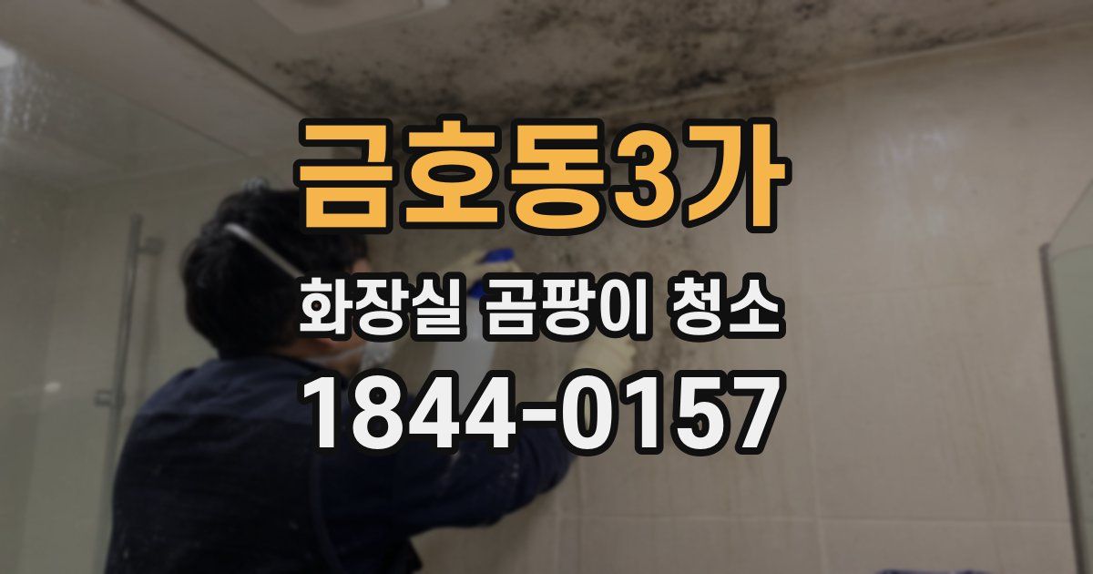 금호동3가 화장실 곰팡이 청소