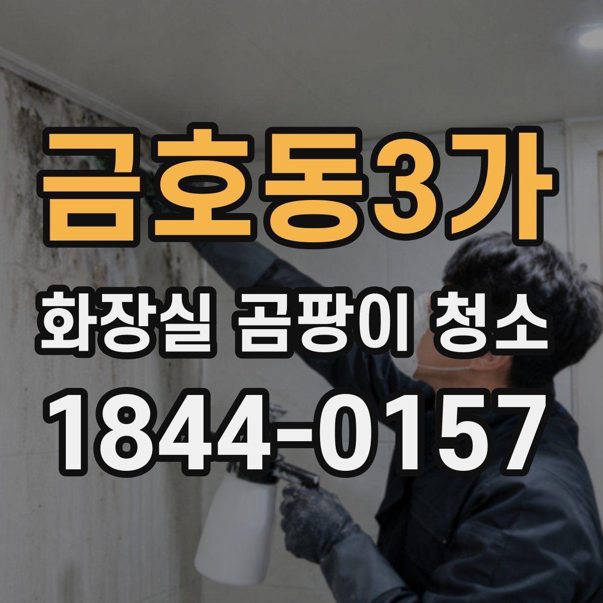 금호동3가 화장실 곰팡이 청소