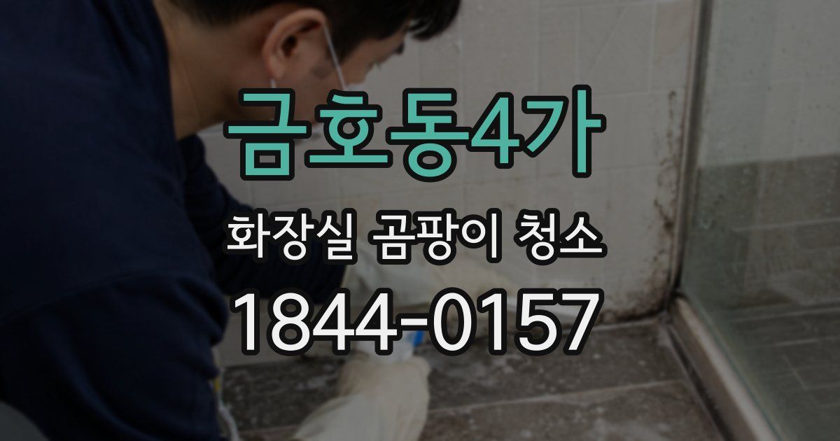 금호동4가 화장실 곰팡이 청소