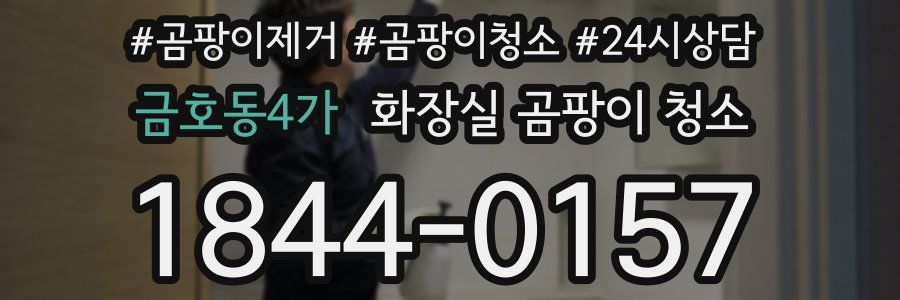 금호동4가 화장실 곰팡이 청소