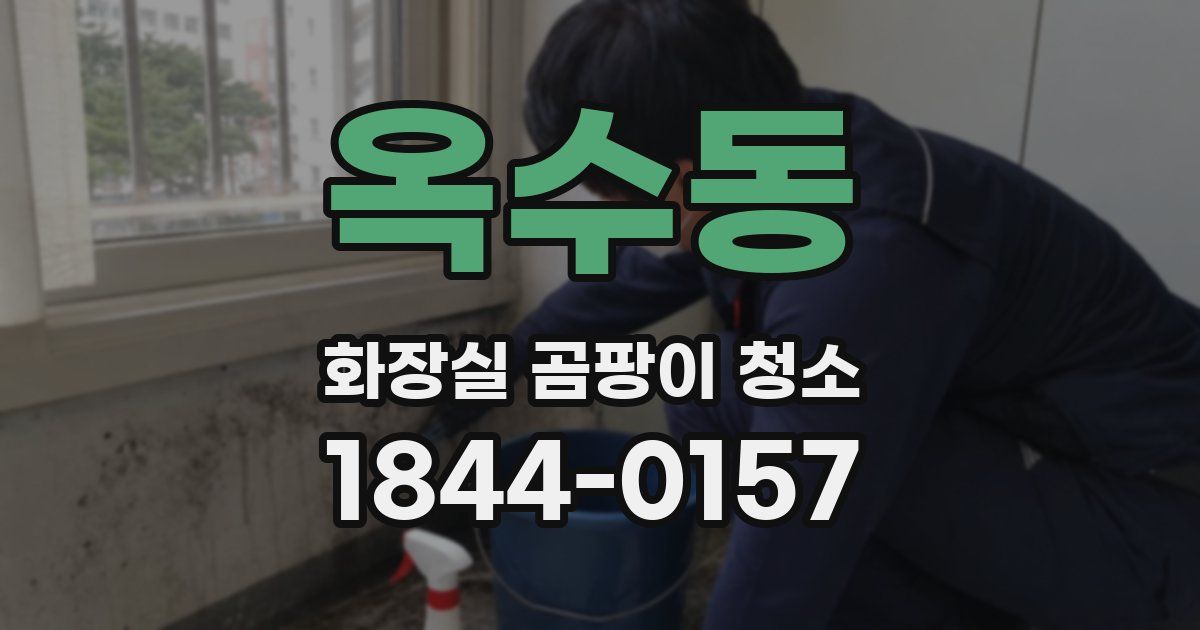 옥수동 화장실 곰팡이 청소