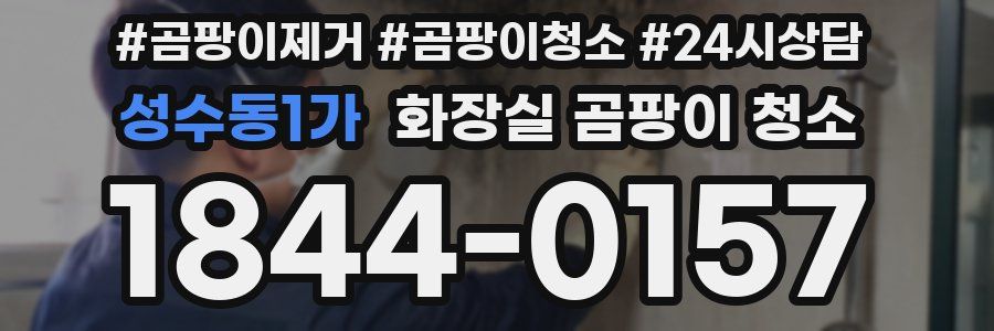 성수동1가 화장실 곰팡이 청소