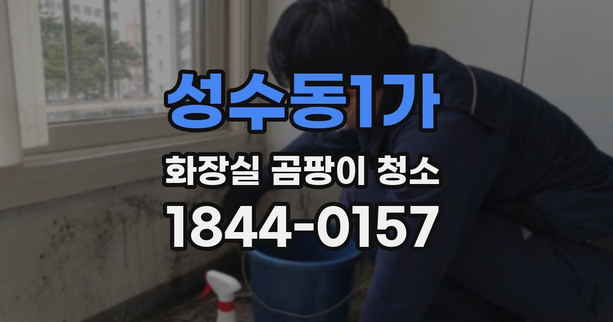 성수동1가 화장실 곰팡이 청소