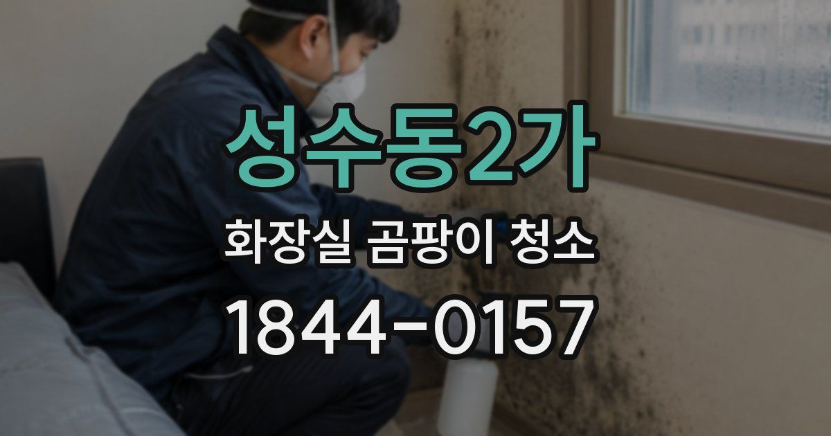 성수동2가 화장실 곰팡이 청소