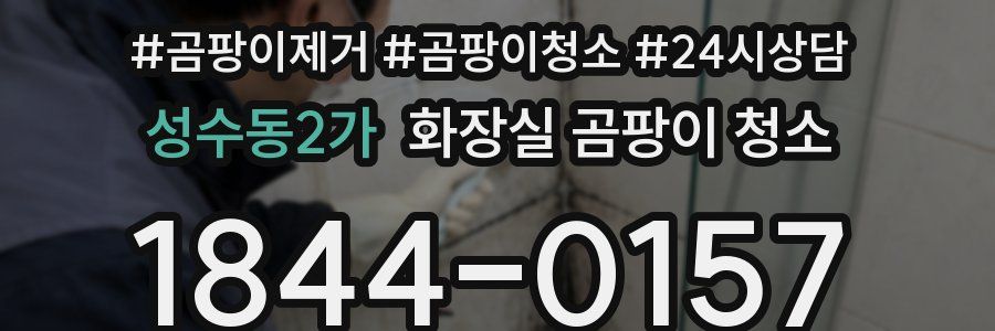 성수동2가 화장실 곰팡이 청소