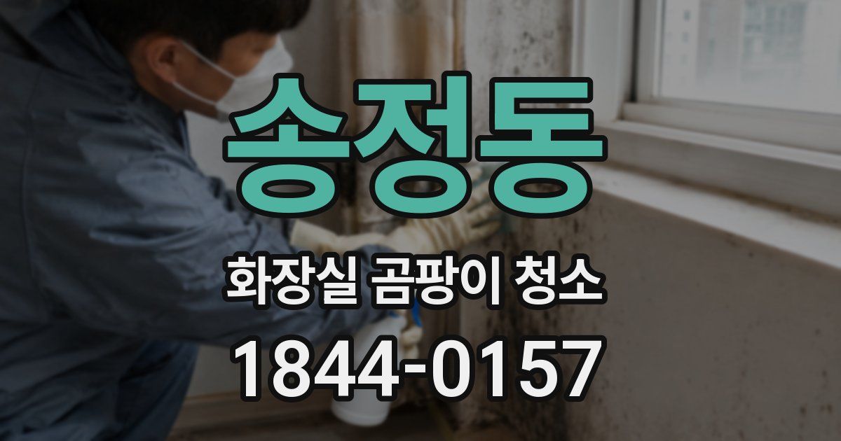 송정동 화장실 곰팡이 청소