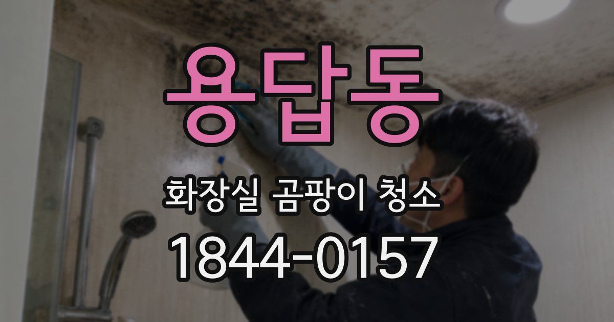 용답동 화장실 곰팡이 청소