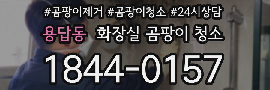 용답동 화장실 곰팡이 청소
