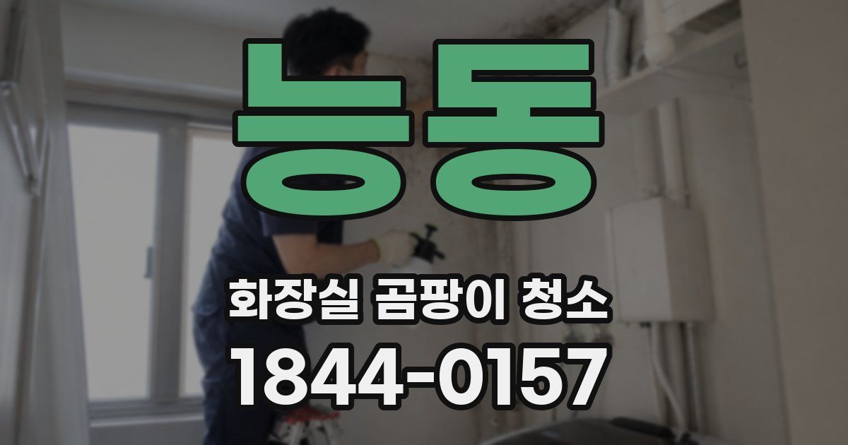 능동 화장실 곰팡이 청소