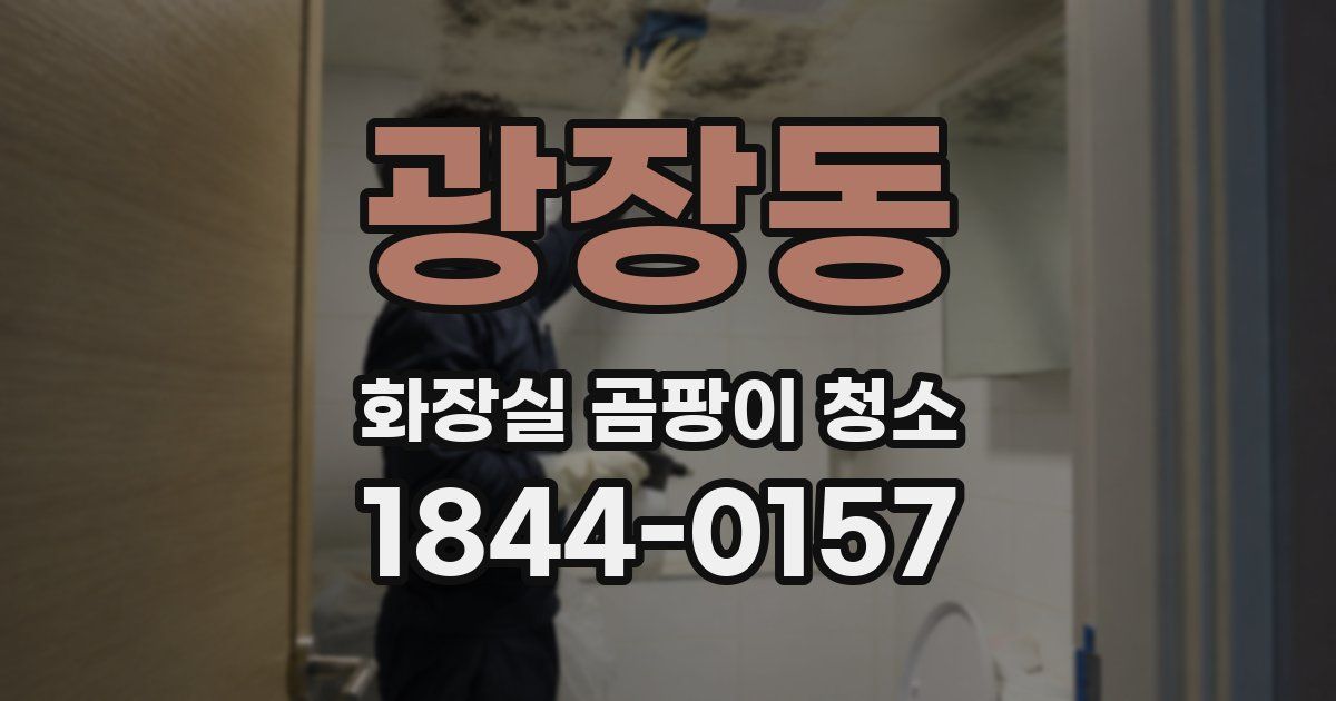 광장동 화장실 곰팡이 청소