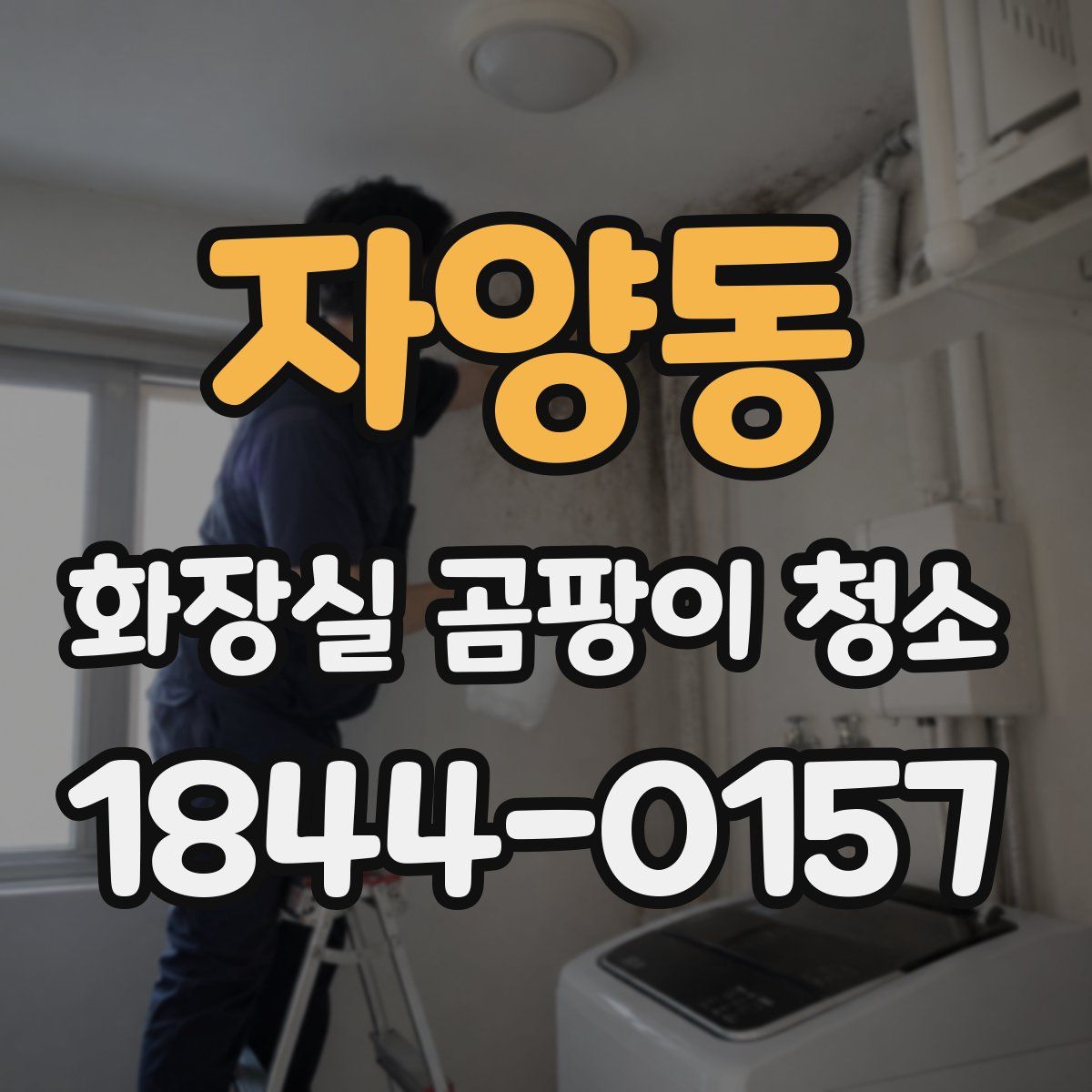 자양동 화장실 곰팡이 청소