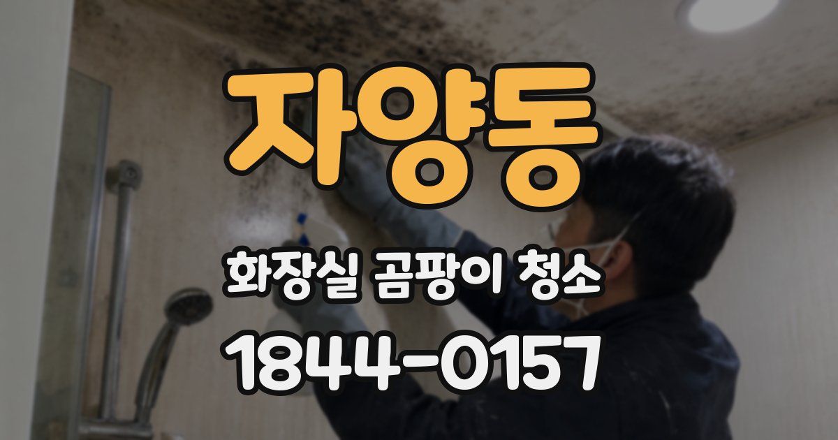 자양동 화장실 곰팡이 청소