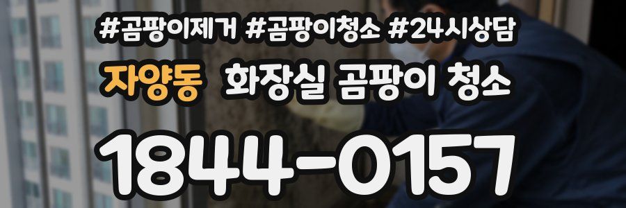 자양동 화장실 곰팡이 청소