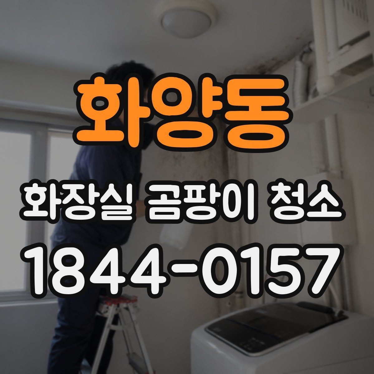 화양동 화장실 곰팡이 청소 재오염이 쉬운 자리부터 점검하는 법