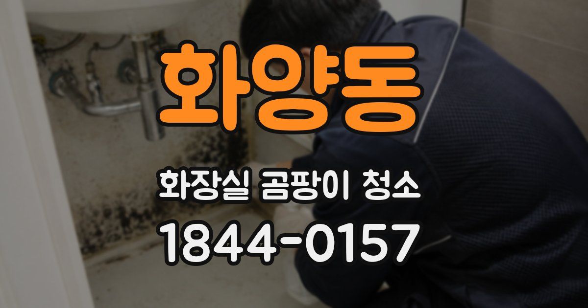 화양동 화장실 곰팡이 청소