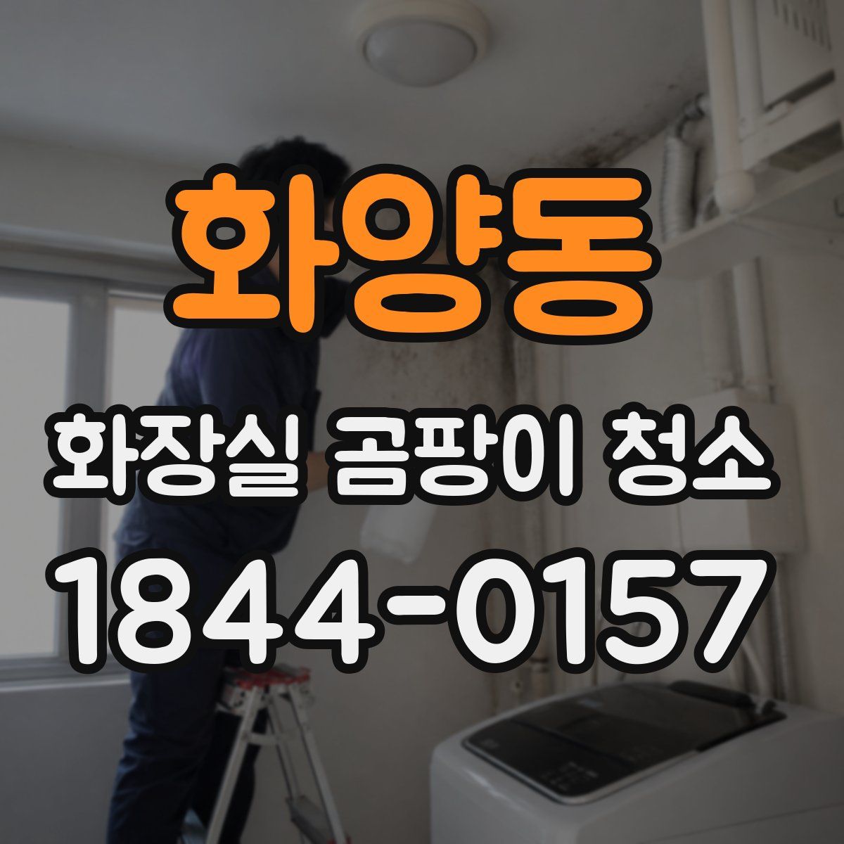 화양동 화장실 곰팡이 청소