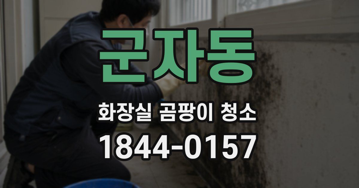 군자동 화장실 곰팡이 청소