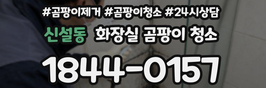 신설동 화장실 곰팡이 청소