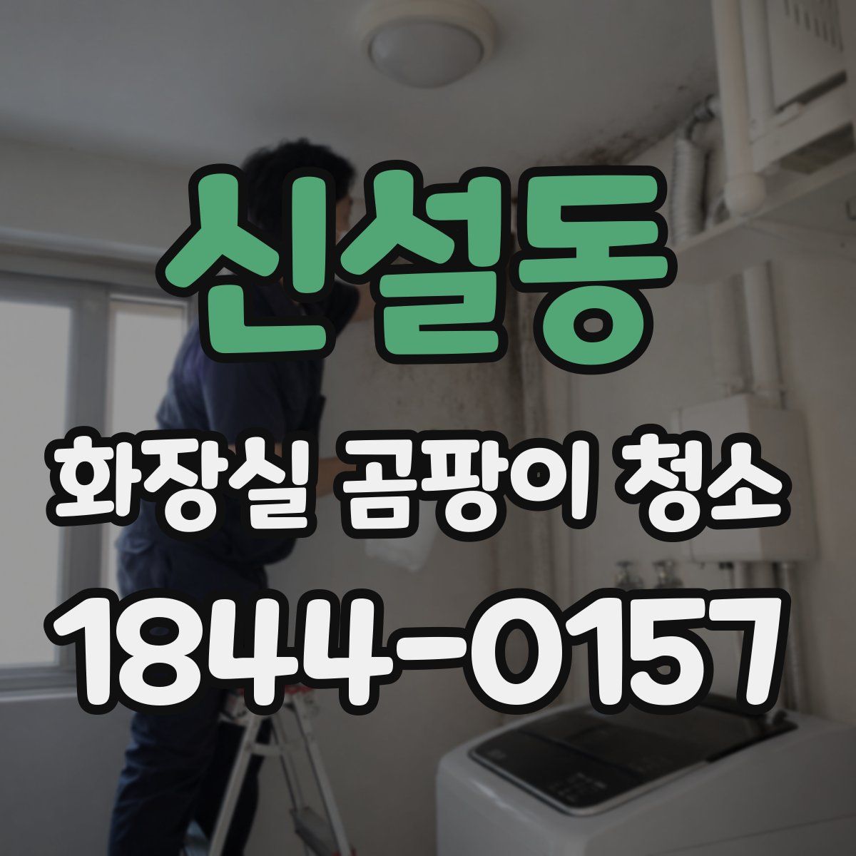 신설동 화장실 곰팡이 청소