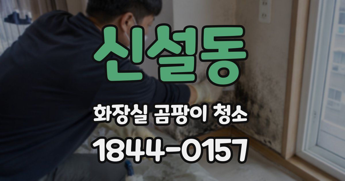 신설동 화장실 곰팡이 청소