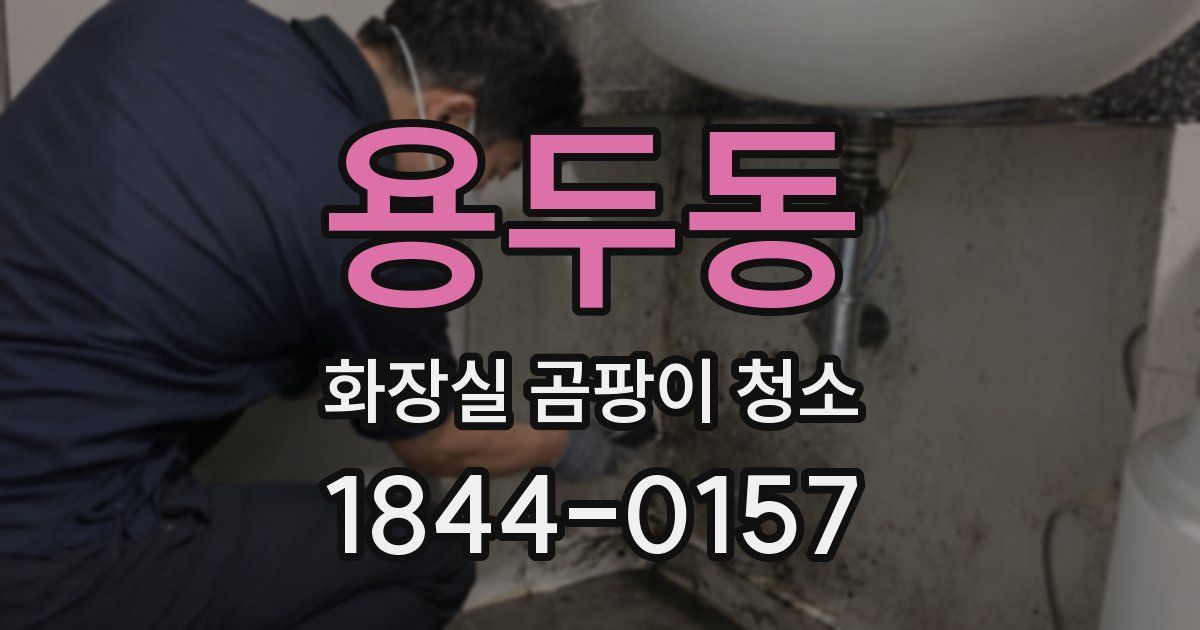 용두동 화장실 곰팡이 청소