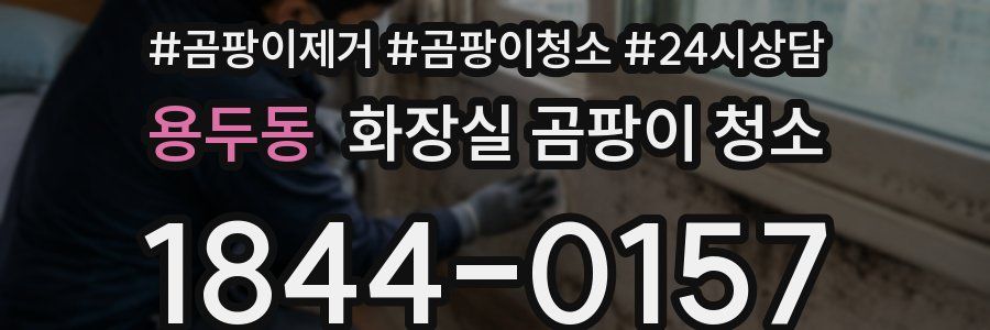 용두동 화장실 곰팡이 청소