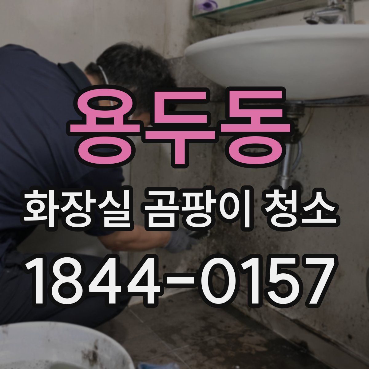 용두동 화장실 곰팡이 청소
