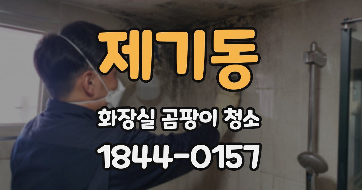 제기동 화장실 곰팡이 청소