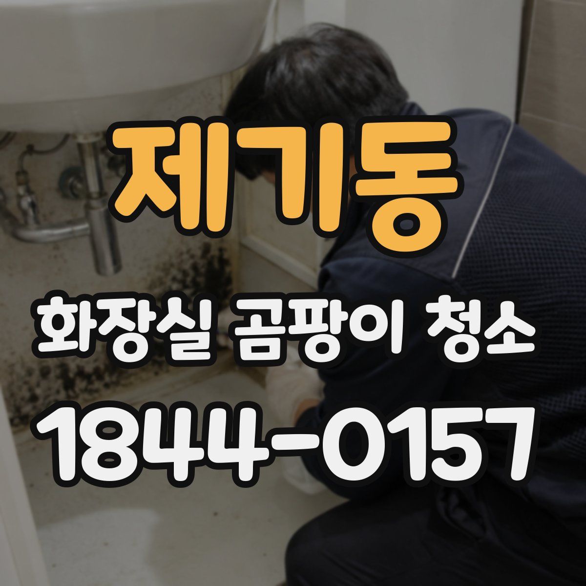 제기동 화장실 곰팡이 청소