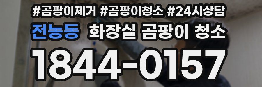 전농동 화장실 곰팡이 청소