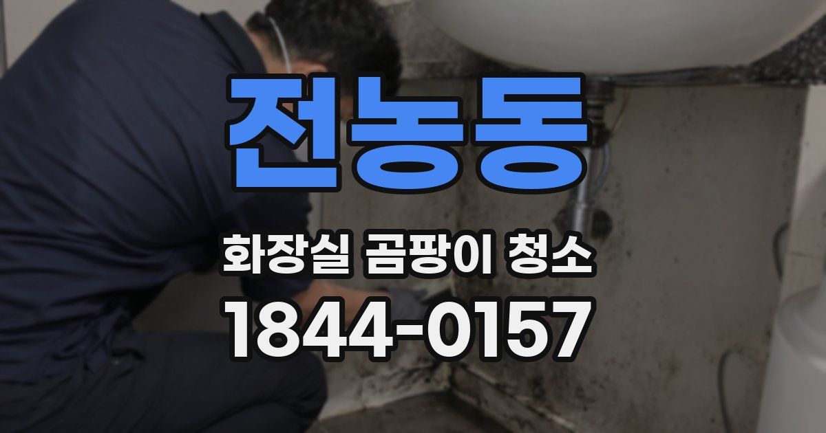 전농동 화장실 곰팡이 청소