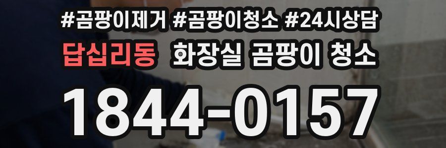 답십리동 화장실 곰팡이 청소