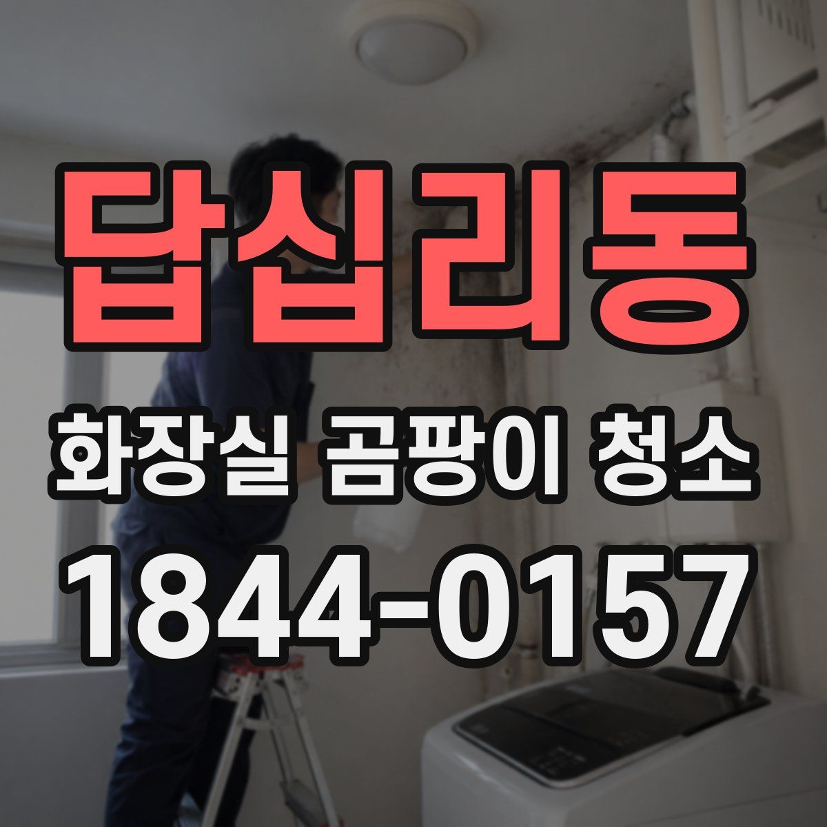답십리동 화장실 곰팡이 청소