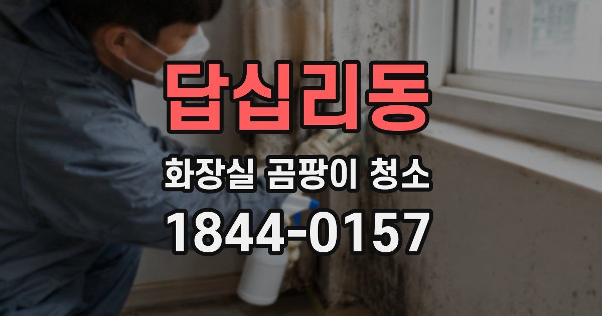 답십리동 화장실 곰팡이 청소
