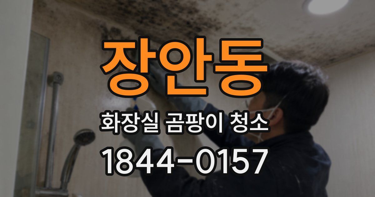 장안동 화장실 곰팡이 청소