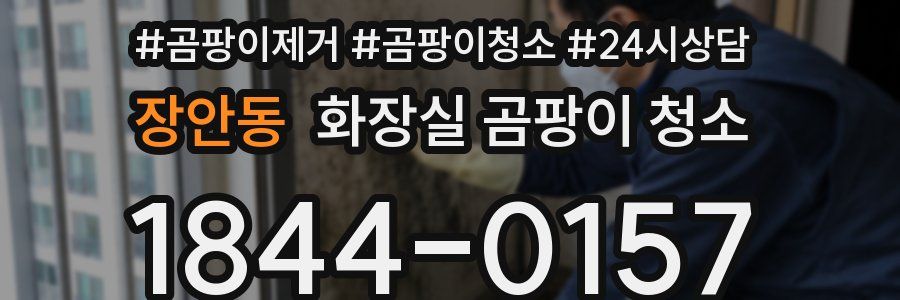 장안동 화장실 곰팡이 청소