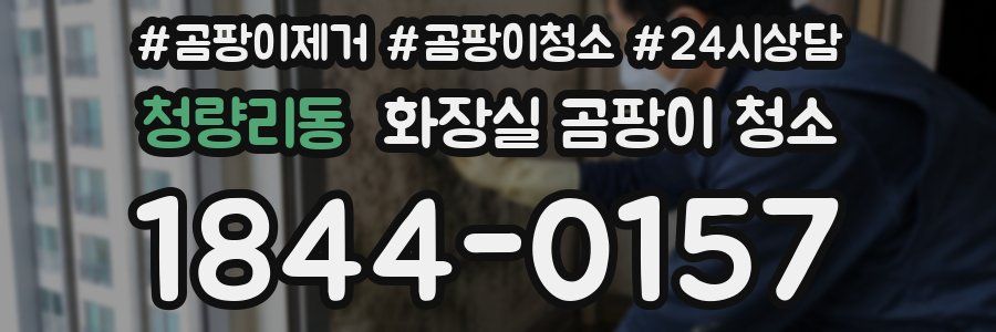 청량리동 화장실 곰팡이 청소
