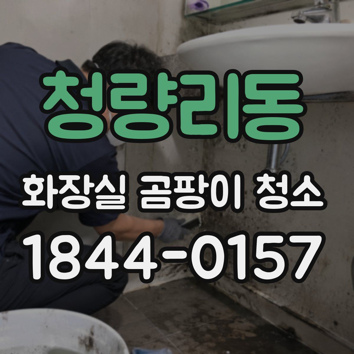 청량리동 화장실 곰팡이 청소