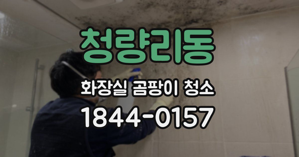 청량리동 화장실 곰팡이 청소