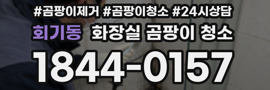 회기동 화장실 곰팡이 청소