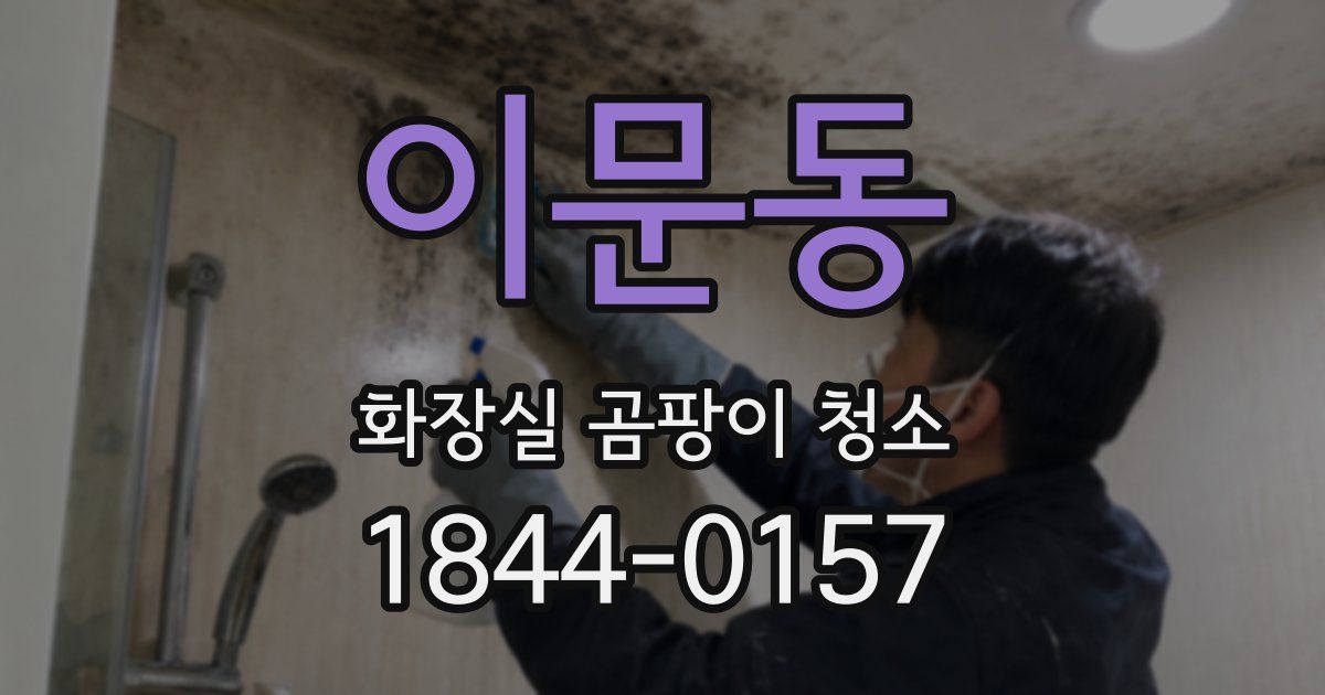이문동 화장실 곰팡이 청소
