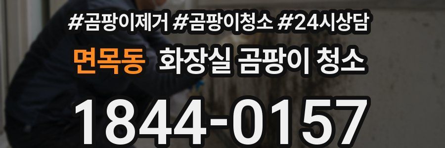 면목동 화장실 곰팡이 청소