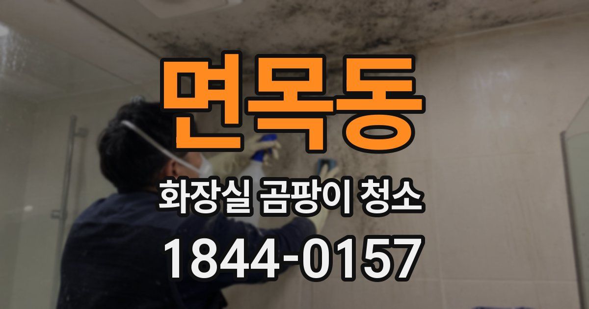 면목동 화장실 곰팡이 청소