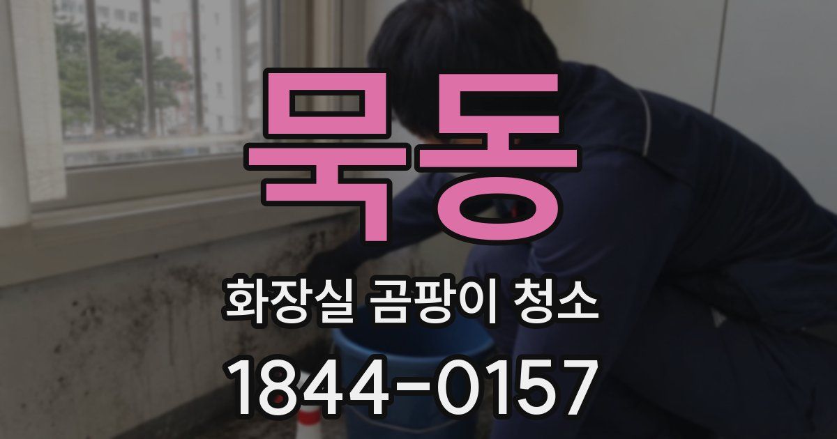 묵동 화장실 곰팡이 청소
