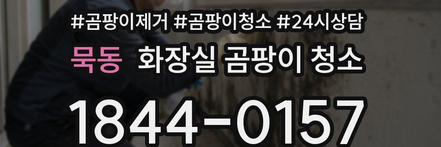 묵동 화장실 곰팡이 청소
