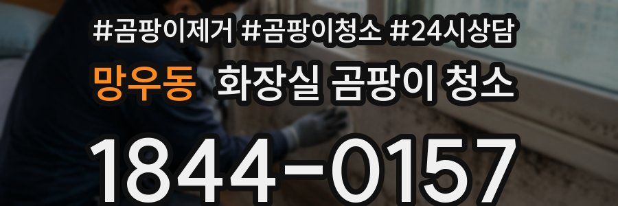 망우동 화장실 곰팡이 청소
