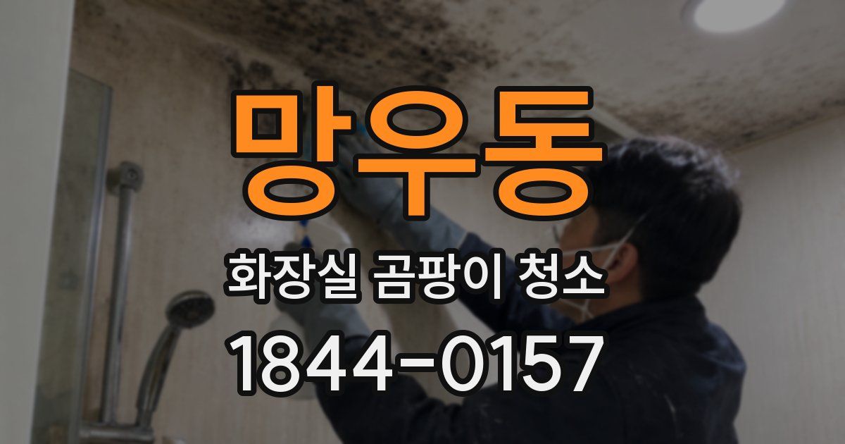 망우동 화장실 곰팡이 청소