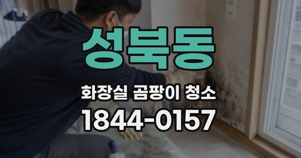 성북동 화장실 곰팡이 청소