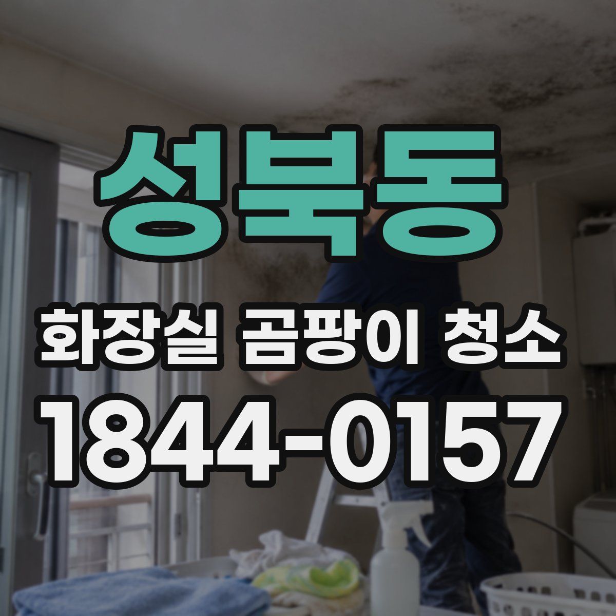 성북동 화장실 곰팡이 청소