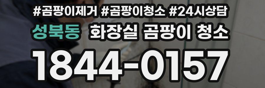 성북동 화장실 곰팡이 청소